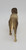 Unknown Vintage Celluloid Pointer Hunting Dog Toy Figure, front view of the dog toy with detailed features and vintage appearance