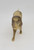 Unknown Vintage Celluloid Pointer Hunting Dog Toy Figure, collectible animal figurine of a hunting dog made of celluloid.