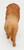 Unknown Vintage Celluloid Lion Toy Figure, front view of the wooden lion showing its back and tail with detailed mane and body.