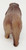 Unknown Vintage Celluloid Brown Bear Toy Figure, detailed view of the bear's back showing textured brown celluloid surface and craftsmanship.