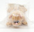 TONKA Vintage Pound Pur-r-ry 7" Light Brown with Stripes Kitten, light brown plush kitten toy with striped pattern, pink ears, and a pink nose, still in clear plastic packaging.