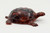 Sterling Plastic Turtle Pencil Sharpener - Brown, brown turtle-shaped plastic pencil sharpener with geometric shell pattern.