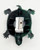 Sterling Plastic Turtle Pencil Sharpener, green plastic turtle-shaped stationery tool with sharpening blade and removable white base.