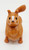 Playmates 1985 Li'l Playmates Farm Play Set - Collie Dog