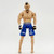Jakks Pacific 2009 UFC Chuck Liddell Action Figure (Loose), full-body view of a collectible action figure of Chuck Liddell, a mixed martial arts fighter, with detailed facial features, muscular torso, wearing blue fight shorts with lettering, and black gloves, standing against a plain white background.