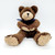 The Petting Zoo 1994 Brown Bear 8" Bean Bag Plush