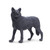 Safari Ltd toy figure of a black wolf. A color variation of the gray wolf