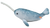 Wild Republic 12-inch long Narwhal with 5-inch long tusk. The narwhal is a species of toothed whale native to the Arctic. It is the only member of the genus Monodon and one of two living representatives of the family Monodontidae. The narwhal is a stocky cetacean with a relatively blunt snout, a large melon, and a shallow ridge in place of a dorsal fin.