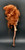 SmartZone 2018 Ebony's 10" Doll, back view of a fashion doll with voluminous auburn curls, a striped outfit, and black fishnet stockings