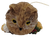 Top view of owl ornament showing yellow-ringed eyes and hanging cord
