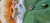 Winning Edge Designs Bob Murphy Leprechaun Plush Golf Club Driver Headcover, close-up of the plush leprechaun’s green coat with decorative buttons, white beard, and orange hair.