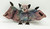 Ty BEANIE BABIES Ty Batty The Ty-Dyed Bat, a plush toy bat with colorful, tie-dyed fabric, large wings, and black ears.