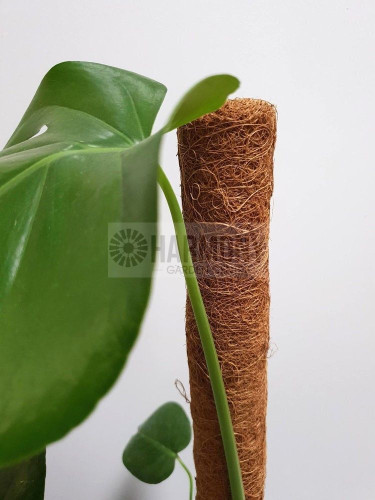 Totem Coir Pole 90cm