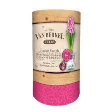 Hyacinth Vase Kit - Pink