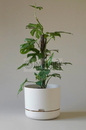 Mr Kitly Selfwatering Pot 300m White Linen