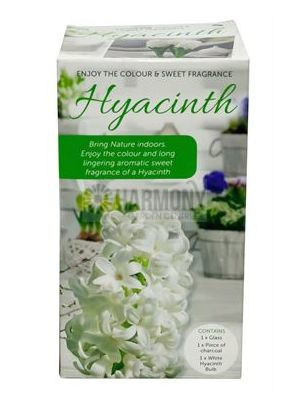 Hyacinth Vase Kit - Blue (1123566)