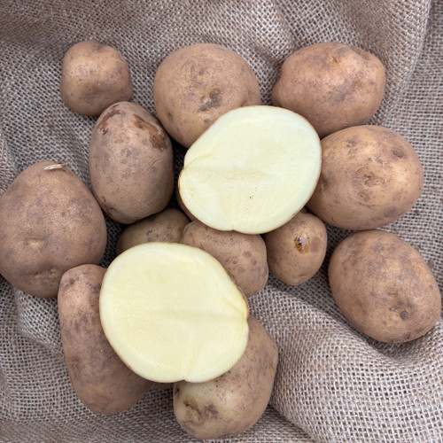Potato 'Bintjie' 1.5Kg