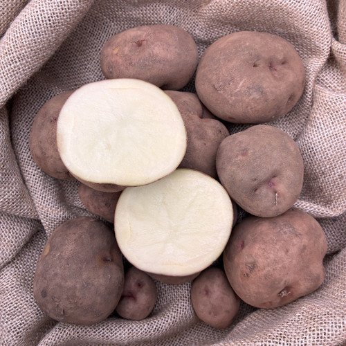 Potato- Brownell 1.5kg
