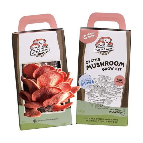 Mushroom - Pink Oyster Kit Mushroom - Pink Oyster Kit