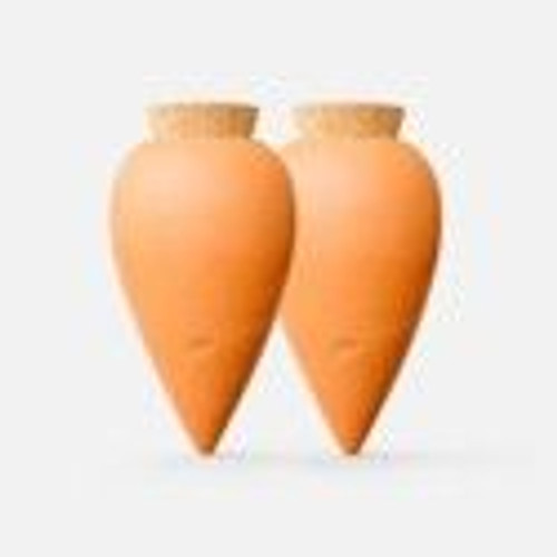 Duo of ollas Terracotta Duo of ollas Terracotta