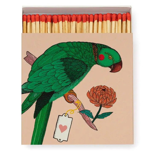 Square Matchboxes Parrot