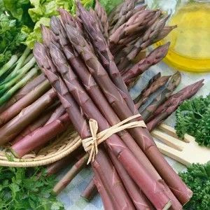 Asparagus 'Purple' 1pk