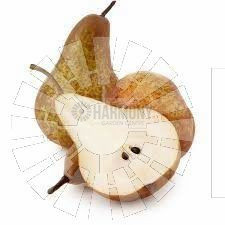 Pyrus communis 'Beurre Bosc' Bare rooted