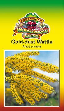 Gold-Dust Wattle Seed