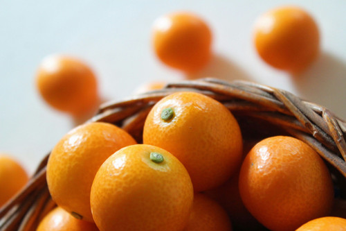 Citrus madurensis 165 mm