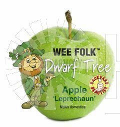 Malus domestica 'Leprechaun' Bare rooted