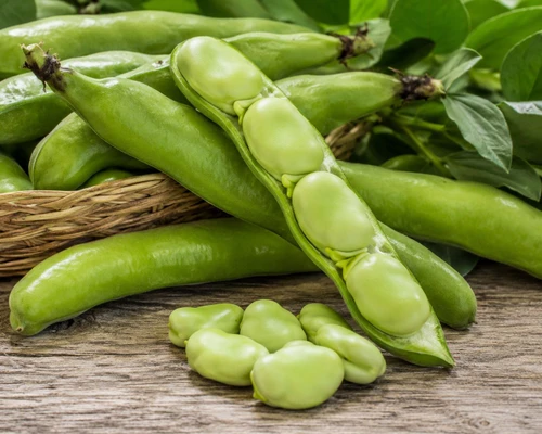 Bean Broad - Tripoli (Chem Fre Punnet