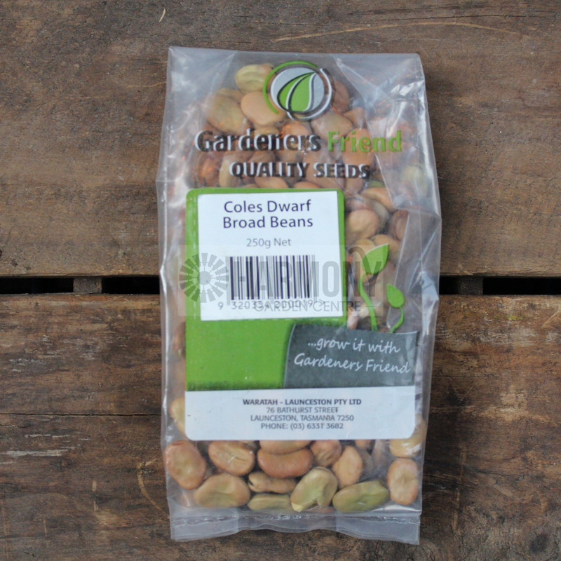 Broad Beans   Coles Dwarf 250g