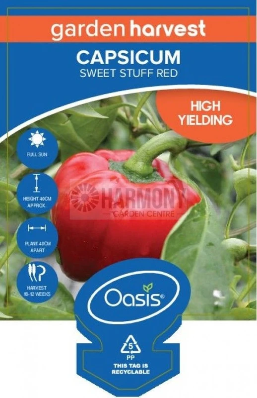 Capsicum 'Sweet Stuff Red' 100 mm