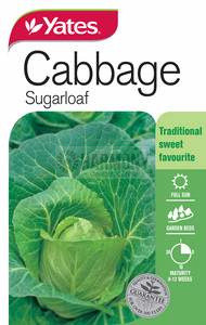 Seed A Cabbage 'Sugarloaf'