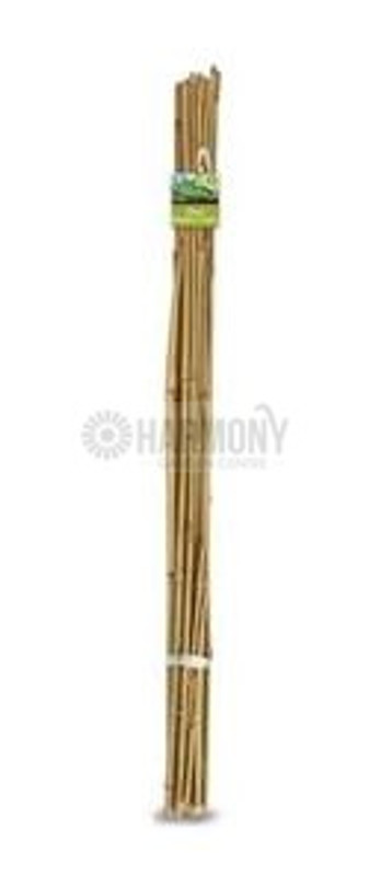 Stake Bamboo Cane 1.2M 20 Pack