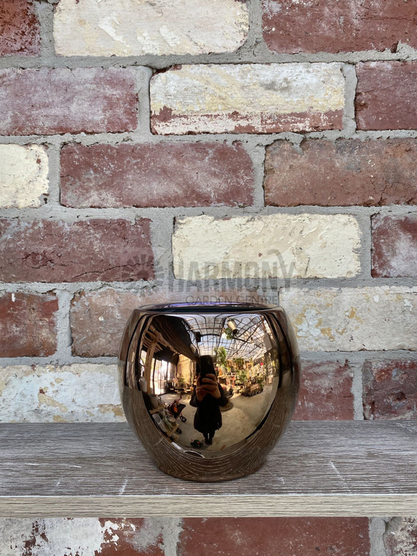 Alberta shiny mirro/Copper15cm