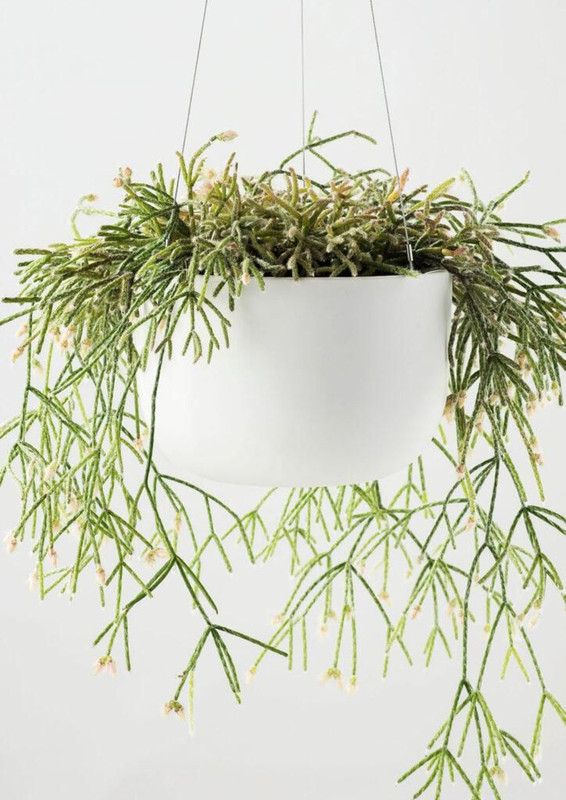 Raw Earth Hanging Planter Medium Chalk White