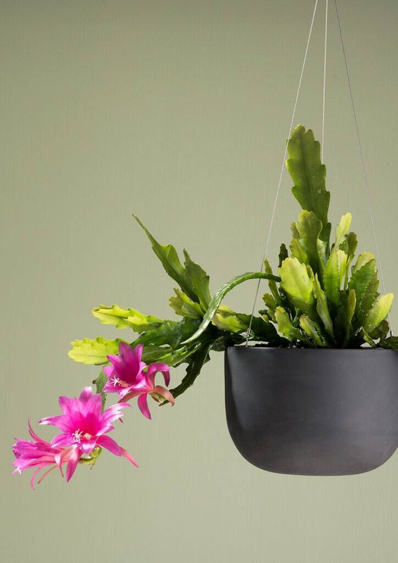 Raw Earth Hanging Planter Medium Charcoal