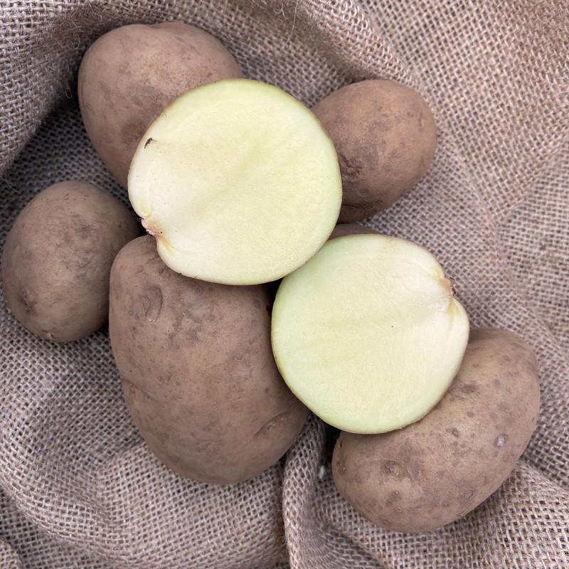 Potato 'Carlingford' 1.5Kg