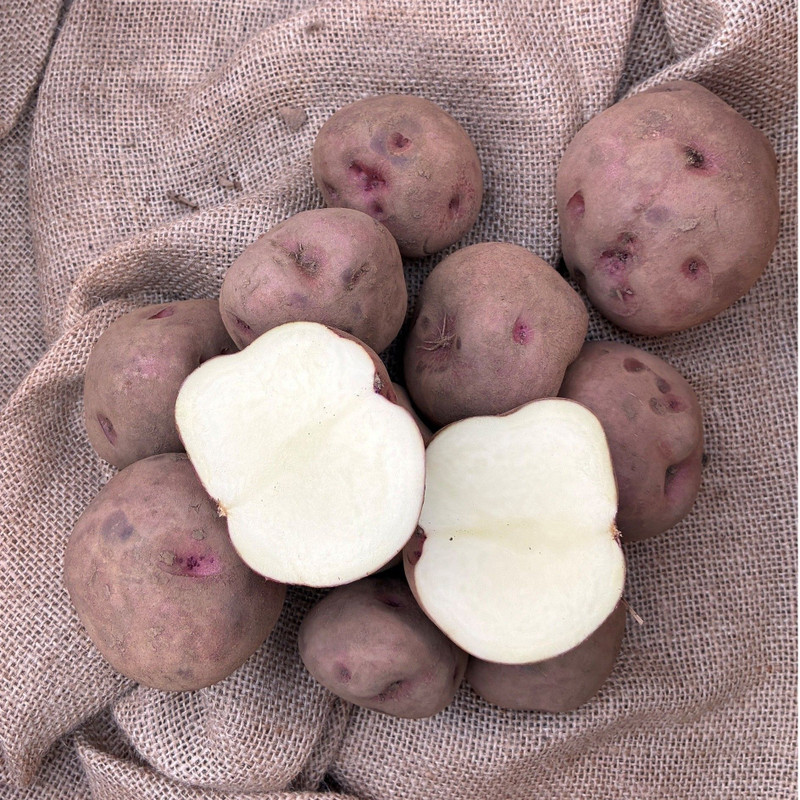 Potato- Pontiac 1.5kg