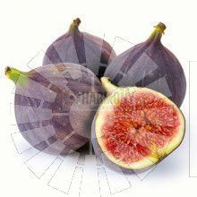 Ficus carica 'Black Genoa' Bare rooted