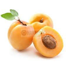 Prunus armeniaca 'Trevatt' Bare rooted