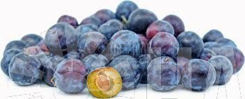 Prunus domestica 'Damson' Bare rooted