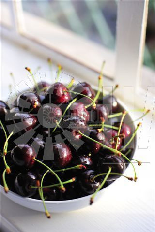 Prunus avium 'Lapins' Bare rooted