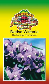 Native Wisteria Seed