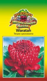 Waratah Seed