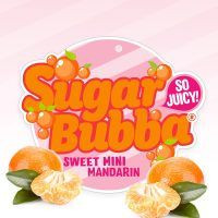 Citrus 'Sugar Bubba Mini Manda 165 mm