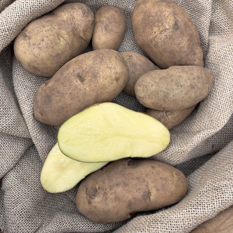 Potato- Spunta 1.5kg