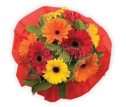 Fresh- Bright Delight