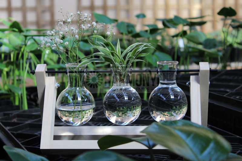 Propagation Station (Triple)